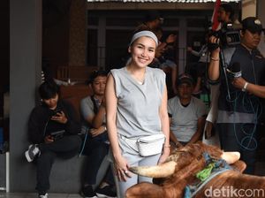Kemeriahan Idul Adha Para Selebriti Kemeriahan Idul Adha Para Selebriti