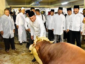 Daging Sapi Bantuan Presiden di Medan Dibagikan Pakai Besek