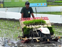 Kementan Sebut Pembangunan Pertanian Berdampak Signifikan ke Petani