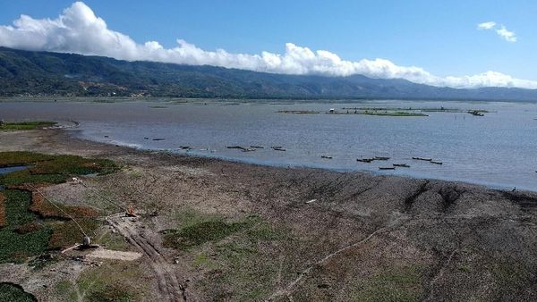 Potret Danau Limboto di Gorontalo yang Mulai Mengering