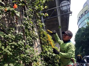 Jelang HUT RI, Taman Kolong JLNT Antasari Dipercantik