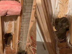 Ketahuan Menyusup Rumah Warga, Beruang Liar di AS Kabur Jebol Tembok