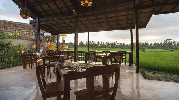 Bermalam Dalam Rumah Lebah Nan Mewah Di Ubud