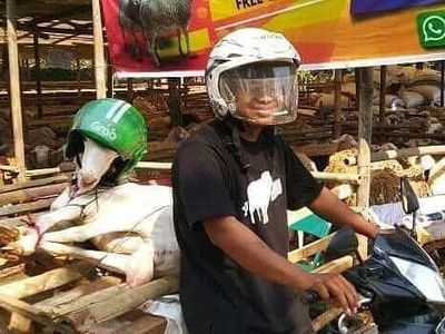 Uniknya Potret Muslim Saat Bawa Hewan Kurban, Ada yang Naik Bajaj dan Ojol