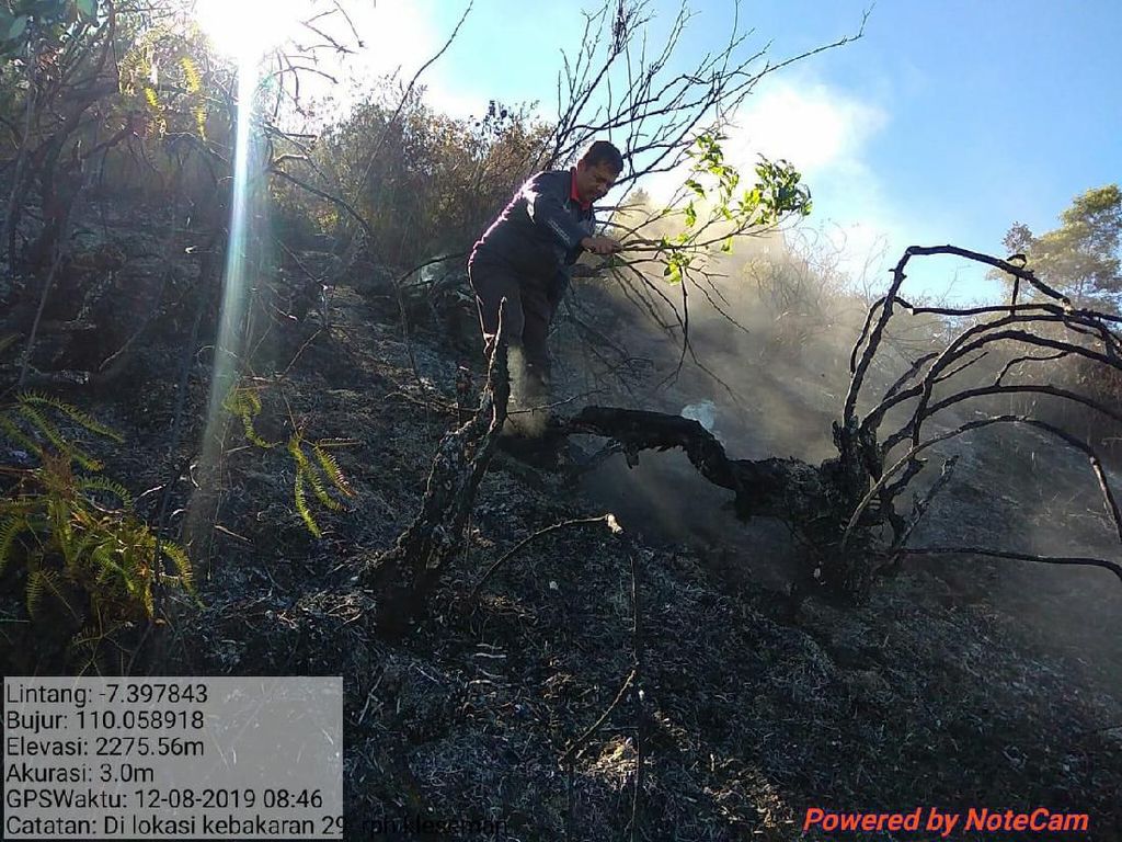 Kebakaran di Lereng Sumbing Akhirnya Padam, 42 Hektare Lahan Terbakar