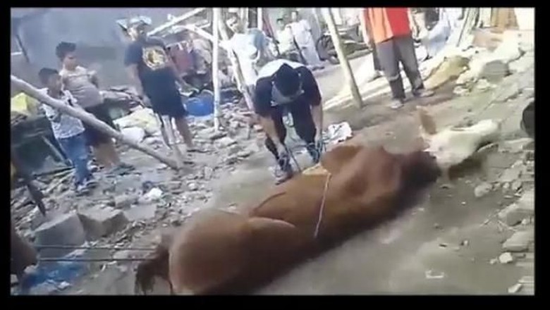 Viral Video Pria Cimahi Meninggal Saat Hendak Sembelih Sapi Kurban