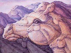 Tes Kepribadian: Ada Berapa Kuda yang Kamu Lihat di Gambar Ini?