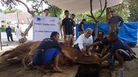 Sedekah Kurban Bersama Mustahik