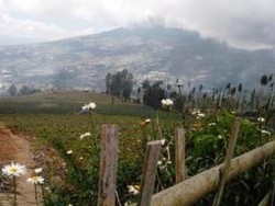 7 Tempat Wisata Pegunungan Sejuk di Jawa Tengah Selain Dieng