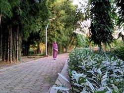 Tempat Buang Sampah Jadi Taman Bunga Indah di Surabaya