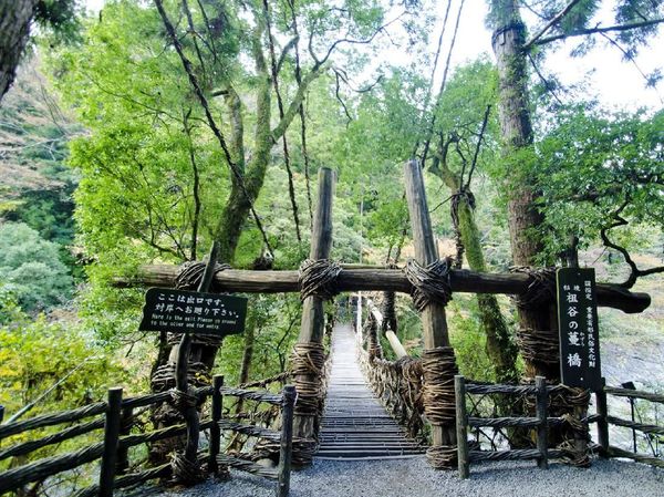 Foto: Jembatan Tradisional Unik dari Jepang
