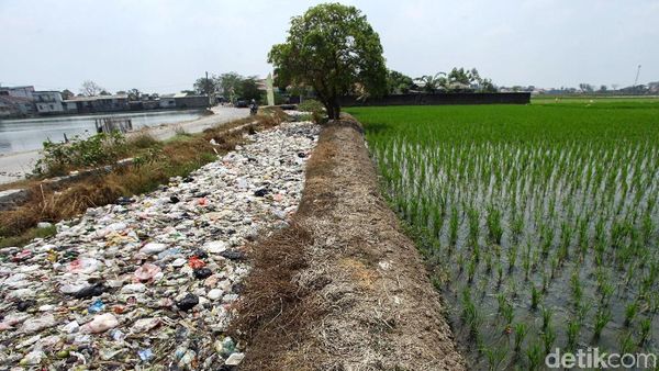 Aliran Kali di Tarumajaya Bekasi Belum Bebas Sampah