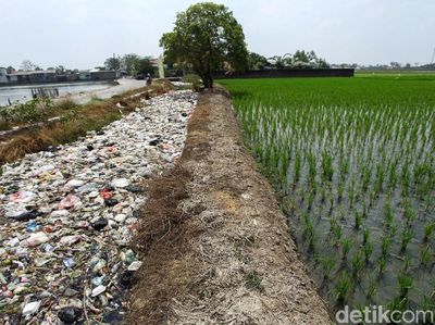 Aliran Kali di Tarumajaya Bekasi Belum Bebas Sampah