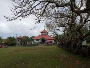 Tak Hanya laut, Daratan Wakatobi Juga Indah