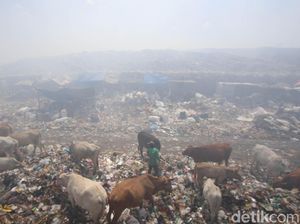 TPA Putri Cempo Solo Muncul Asap, Damkar Semprotkan Air