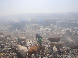 TPA Putri Cempo Solo Muncul Asap, Damkar Semprotkan Air
