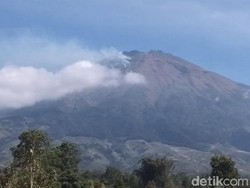 Titik Api di Lereng Sumbing Belum Padam, 30 Hektare Lahan Terbakar