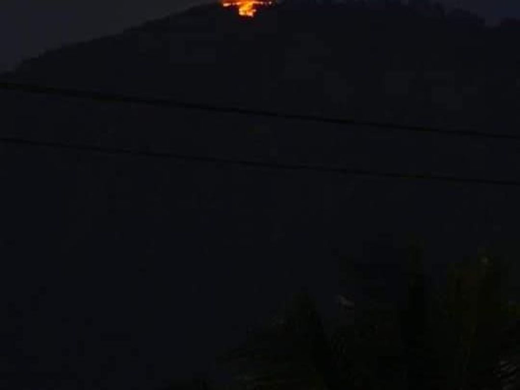 Tanaman Kering Diduga Picu Kebakaran di Puncak Gunung Batukaru Bali