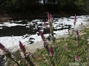 Ulah Kapal Nakal, Laut Kepulauan Riau Tercemar Limbah Minyak