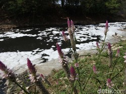 Ulah Kapal Nakal, Laut Kepulauan Riau Tercemar Limbah Minyak