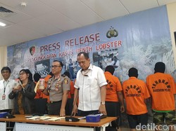 Polri Gagalkan Penyelundupan Benih Lobster Senilai Rp 8,5 M di Lampung