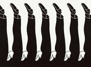 Tes Kepribadian: Kaki Pria atau Wanita yang Pertama Kali Terlihat di Gambar? Tes Kepribadian: Kaki Pria atau Wanita yang Pertama Kali Terlihat di Gambar?