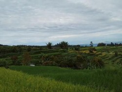 7 Destinasi di Tanah Datar yang Harus Kamu Kunjungi