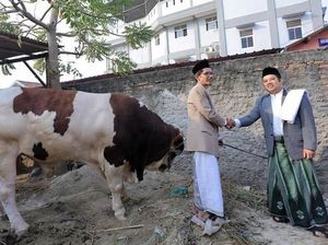 Cara Pemkot Tangerang Agar Daging Kurban Layak Dikonsumsi