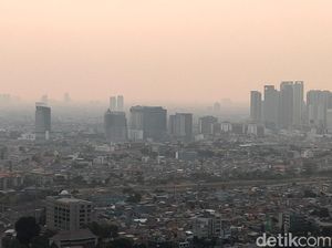 Pabrik Arang di Jakut Juga Akan Disegel karena Cemari Udara Pabrik Arang di Jakut Juga Akan Disegel karena Cemari Udara