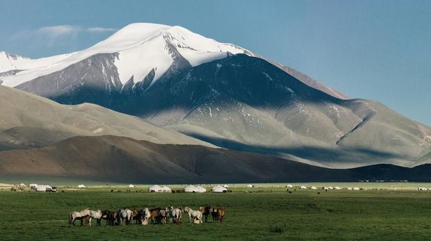 6 Aktivias Petualangan yang Bisa Dilakukan di Mongolia
