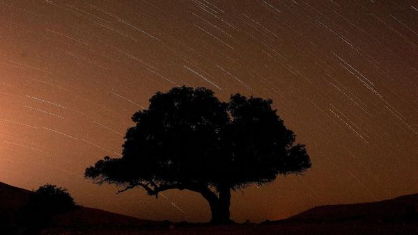 Gemerlap Langit Israel Berhiaskan Hujan Meteor Perseid