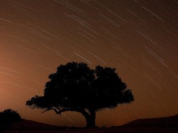 Besok Waktu Terbaik Amati Puncak Hujan Meteor Perseid