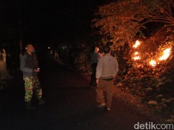 Terjadi Tiap Tahun, Hutan Tepi Jalan Wonogiri-Gunungkidul Terbakar