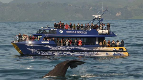 Foto: Aneka Atraksi Seru Saat Musim Dingin di Selandia Baru