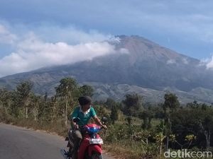 Api Lereng Sumbing Masih Menyala, 30 Ha Lahan Terbakar
