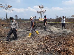 Satgas Karhutla Sumsel Duga Kebakaran Hutan Disengaja, 4 Pelaku Ditangkap