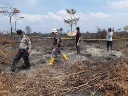 Satgas Karhutla Sumsel Duga Kebakaran Hutan Disengaja, 4 Pelaku Ditangkap