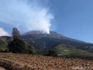 Faktor Angin Kencang, Kebakaran di Gunung Sumbing Semakin Meluas Faktor Angin Kencang, Kebakaran di Gunung Sumbing Semakin Meluas