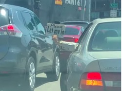 Jurus Jitu Minta Jalan di Kemacetan