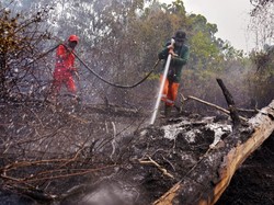 Soal UU Cipta Kerja, Pegiat Konservasi: Jangan Abai pada Lingkungan
