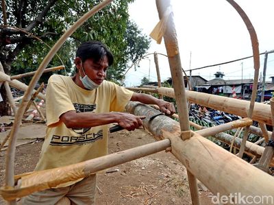 Jelang HUT RI, Penjualan Pohon Pinang Banjir Pesanan