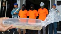 Penyelundupan Benih Lobster Rp 13 M Digagalkan, Ini Penampakannya