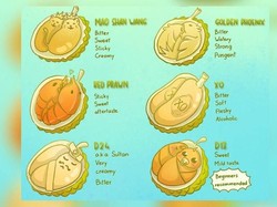 Seniman Ini Buat Infografis Lucu Berisi Jenis dan Rasa Durian Populer