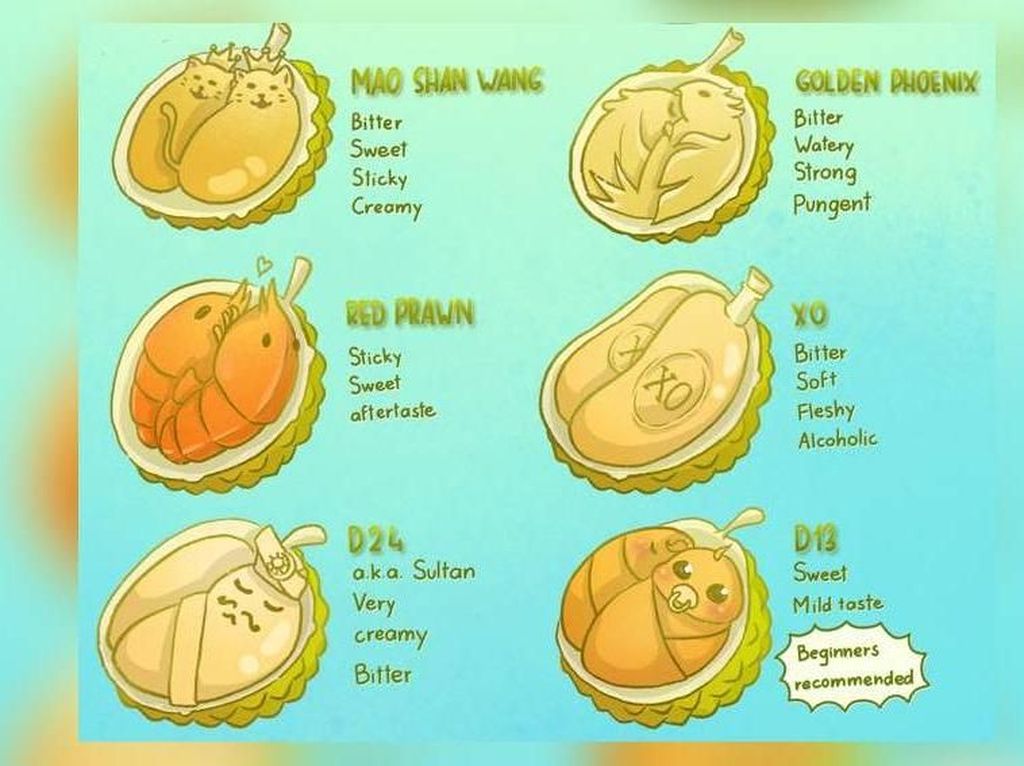 Seniman Ini Buat Infografis Lucu Berisi Jenis dan Rasa Durian Populer Seniman Ini Buat Infografis Lucu Berisi Jenis dan Rasa Durian Populer