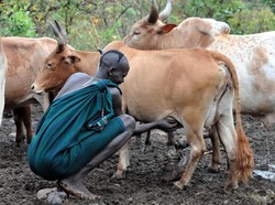Darah Sapi hingga Jus Ikan Mentah, Ini Menu Sarapan Teraneh di Dunia