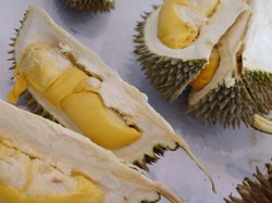 Ini Cara Ampuh Hilangkan Aroma Durian di Mulut, Mobil, hingga Kulkas