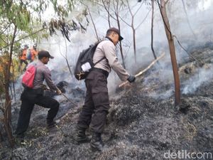 Kebakaran Lahan di Lereng Gunung Sumbing Berhasil Dipadamkan