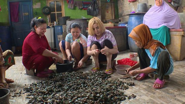 Barbie Kumalasari Menjadi Pengupas Kerang