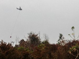 Polres Pelalawan Tangkap Warga yang Kuasai Ilegal Lahan Tesso Nilo Polres Pelalawan Tangkap Warga yang Kuasai Ilegal Lahan Tesso Nilo