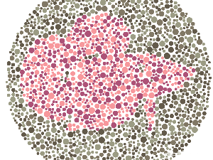 Tes Buta Warna, Coba Tebak Siluet Hewan Apa yang Terlihat?